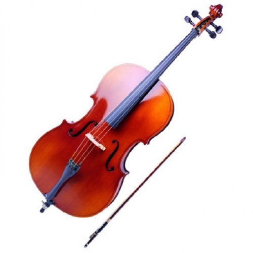 купить виолончель в Москве